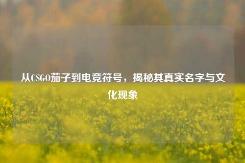 从CSGO茄子到电竞符号,揭秘其真实名字与文化现象