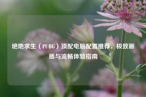 绝地求生(PUBG)顶配电脑配置推荐,极致画质与流畅体验指南