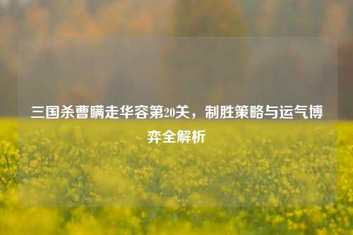 三国杀曹瞒走华容第20关,制胜策略与运气博弈全解析