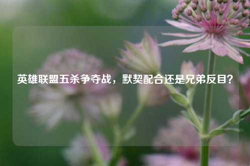 英雄联盟五杀争夺战,默契配合还是兄弟反目?