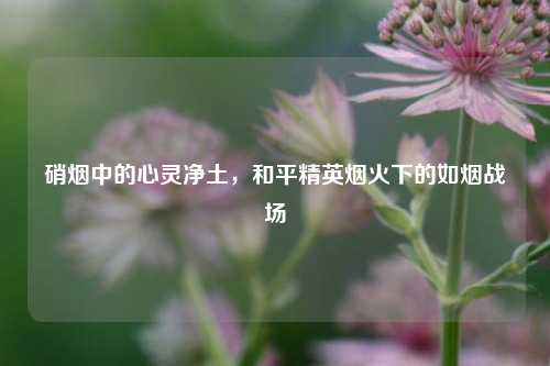 硝烟中的心灵净土,和平精英烟火下的如烟战场