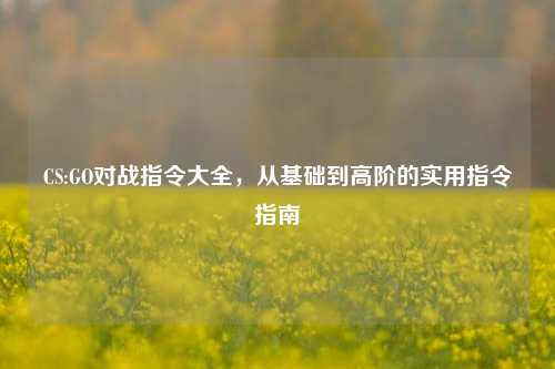 CS:GO对战指令大全,从基础到高阶的实用指令指南