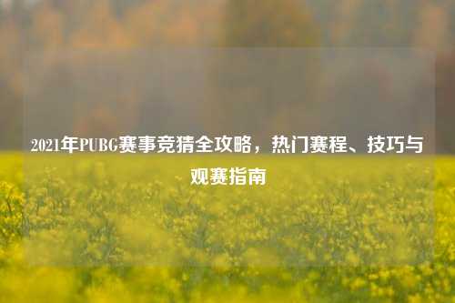 2021年PUBG赛事竞猜全攻略,热门赛程、技巧与观赛指南