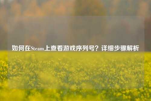 如何在Steam上查看游戏序列号?详细步骤解析