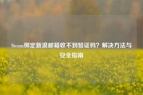 Steam绑定新浪邮箱收不到验证码?解决方法与安全指南