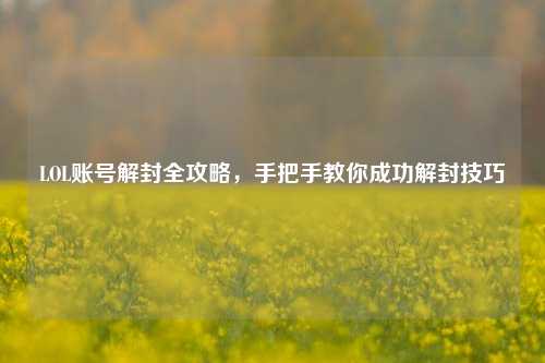 LOL账号解封全攻略,手把手教你成功解封技巧
