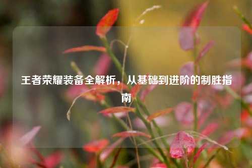 王者荣耀装备全解析,从基础到进阶的制胜指南