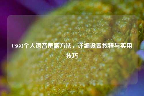 CSGO个人语音屏蔽方法,详细设置教程与实用技巧
