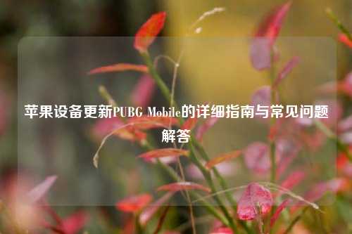 苹果设备更新PUBG Mobile的详细指南与常见问题解答