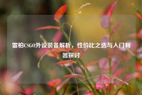 雷柏CSGO外设装备解析,性价比之选与入门利器探讨