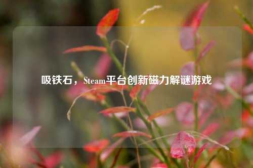 吸铁石,Steam平台创新磁力解谜游戏
