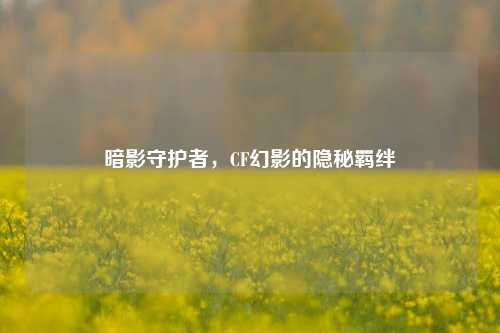 暗影守护者,CF幻影的隐秘羁绊