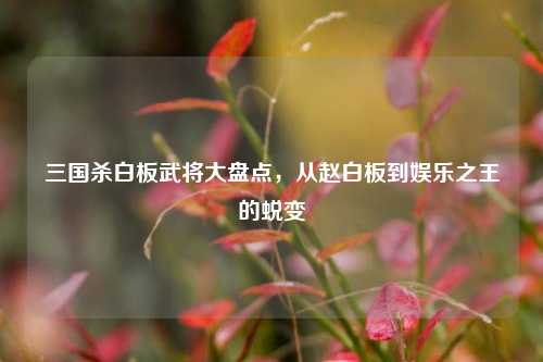 三国杀白板武将大盘点,从赵白板到娱乐之王的蜕变