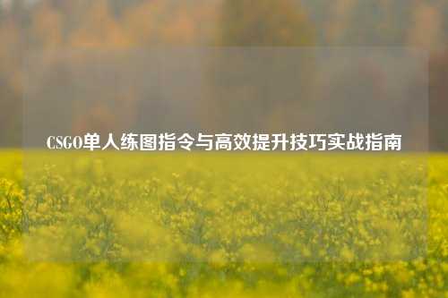 CSGO单人练图指令与高效提升技巧实战指南
