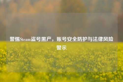 警惕Steam盗号黑产,账号安全防护与法律风险警示