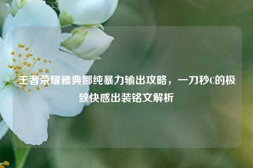 王者荣耀雅典娜纯暴力输出攻略,一刀秒C的极致快感出装铭文解析