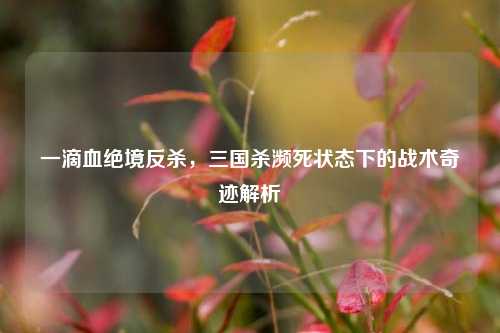 一滴血绝境反杀,三国杀濒死状态下的战术奇迹解析