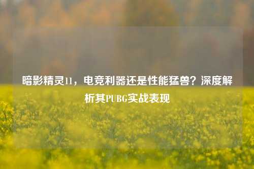 暗影精灵11,电竞利器还是性能猛兽?深度解析其PUBG实战表现
