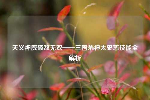 天义神威破敌无双——三国杀神太史慈技能全解析