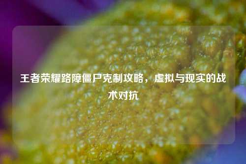 王者荣耀路障僵尸克制攻略,虚拟与现实的战术对抗