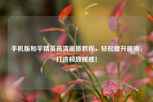 手机版和平精英高清画质教程,轻松提升画质,打造极致观感!