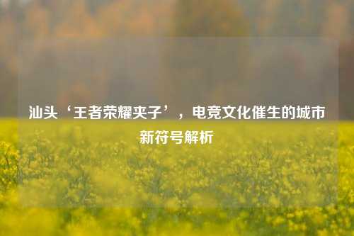 汕头‘王者荣耀夹子’,电竞文化催生的城市新符号解析