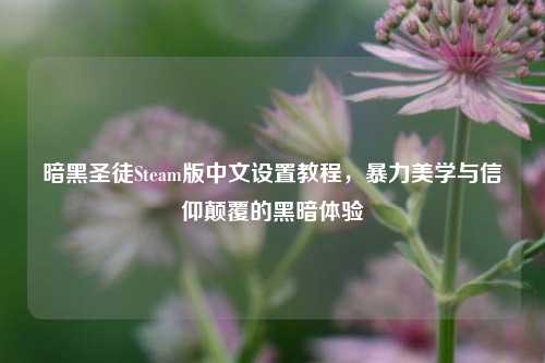 暗黑圣徒Steam版中文设置教程,暴力美学与信仰颠覆的黑暗体验