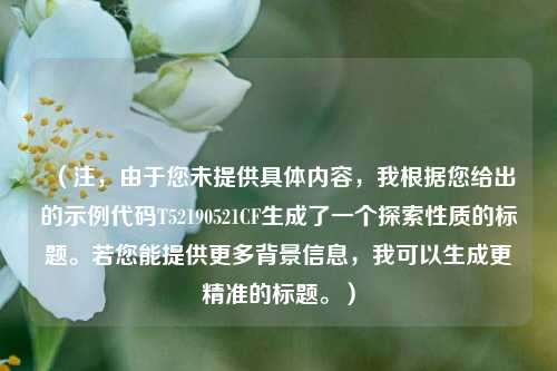 (注,由于您未提供具体内容,我根据您给出的示例代码T52190521CF生成了一个探索性质的标题。若您能提供更多背景信息,我可以生成更精准的标题。)