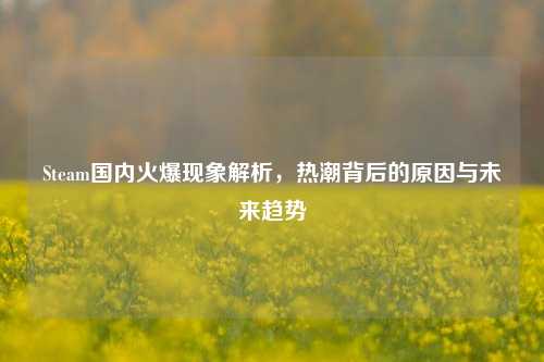Steam国内火爆现象解析,热潮背后的原因与未来趋势