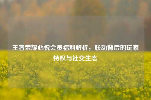 王者荣耀心悦会员福利解析,联动背后的玩家特权与社交生态