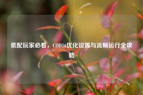 低配玩家必看,COD16优化设置与流畅运行全攻略