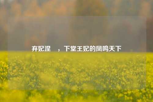 弃妃涅槃,下堂王妃的凤鸣天下