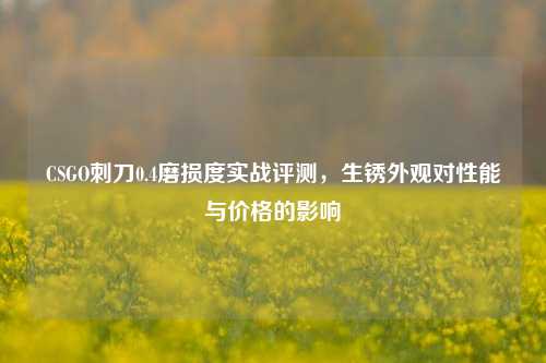 CSGO刺刀0.4磨损度实战评测,生锈外观对性能与价格的影响