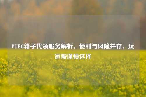PUBG箱子代领服务解析,便利与风险并存,玩家需谨慎选择