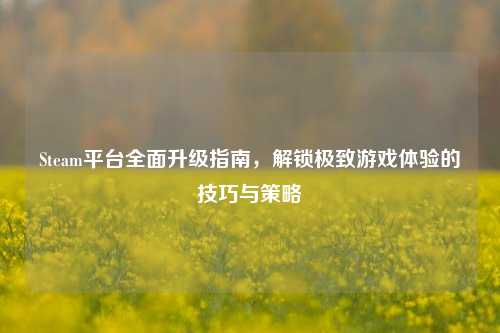 Steam平台全面升级指南,解锁极致游戏体验的技巧与策略