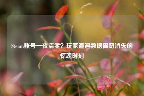 Steam账号一夜清零?玩家遭遇数据离奇消失的惊魂时刻