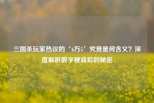 三国杀玩家热议的‘6万5’究竟是何含义?深度解析数字梗背后的秘密