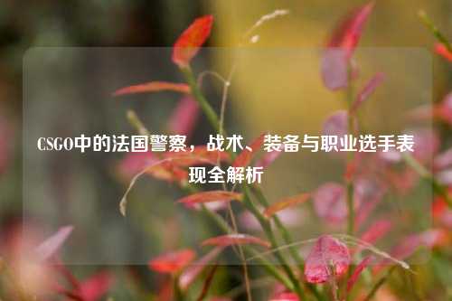 CSGO中的法国警察,战术、装备与职业选手表现全解析