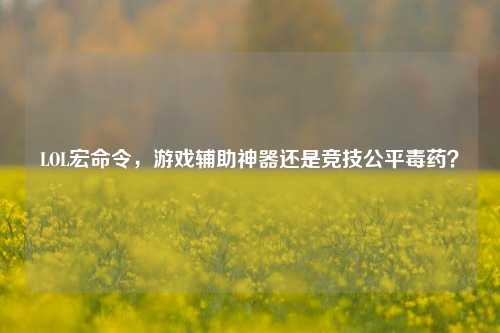 LOL宏命令,游戏辅助神器还是竞技公平毒药?