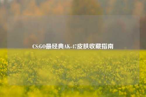 CS:GO最经典AK-47皮肤收藏指南