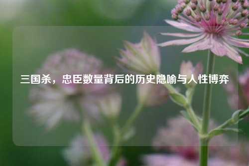 三国杀,忠臣数量背后的历史隐喻与人性博弈