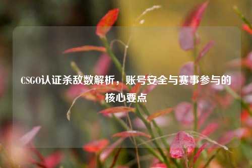 CSGO认证杀敌数解析,账号安全与赛事参与的核心要点
