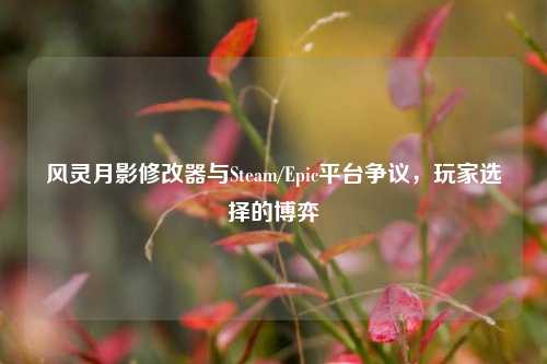 风灵月影修改器与Steam/Epic平台争议,玩家选择的博弈