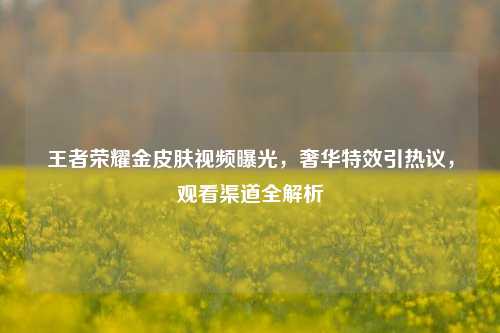 王者荣耀金皮肤视频曝光,奢华特效引热议,观看渠道全解析