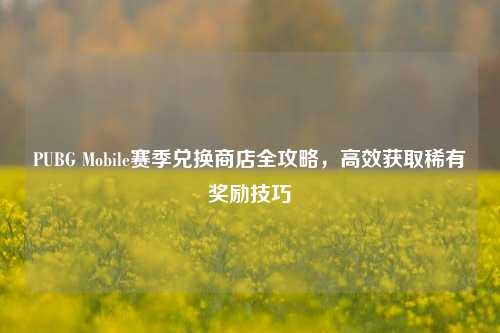 PUBG Mobile赛季兑换商店全攻略,高效获取稀有奖励技巧