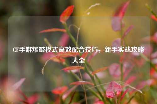 CF手游爆破模式高效配合技巧,新手实战攻略大全