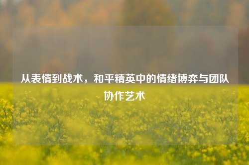 从表情到战术,和平精英中的情绪博弈与团队协作艺术