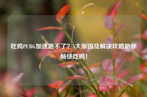 吃鸡PUBG加速跑不了?5大原因及解决攻略助你畅快吃鸡!