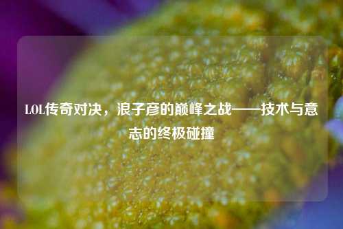 LOL传奇对决,浪子彦的巅峰之战——技术与意志的终极碰撞