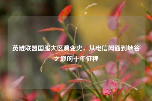 英雄联盟国服大区演变史,从电信网通到峡谷之巅的十年征程